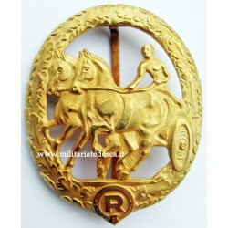HORSE DRIVER BADGE IN GOLD...
